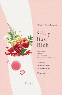 【単品】シルキーアップリッチ1個