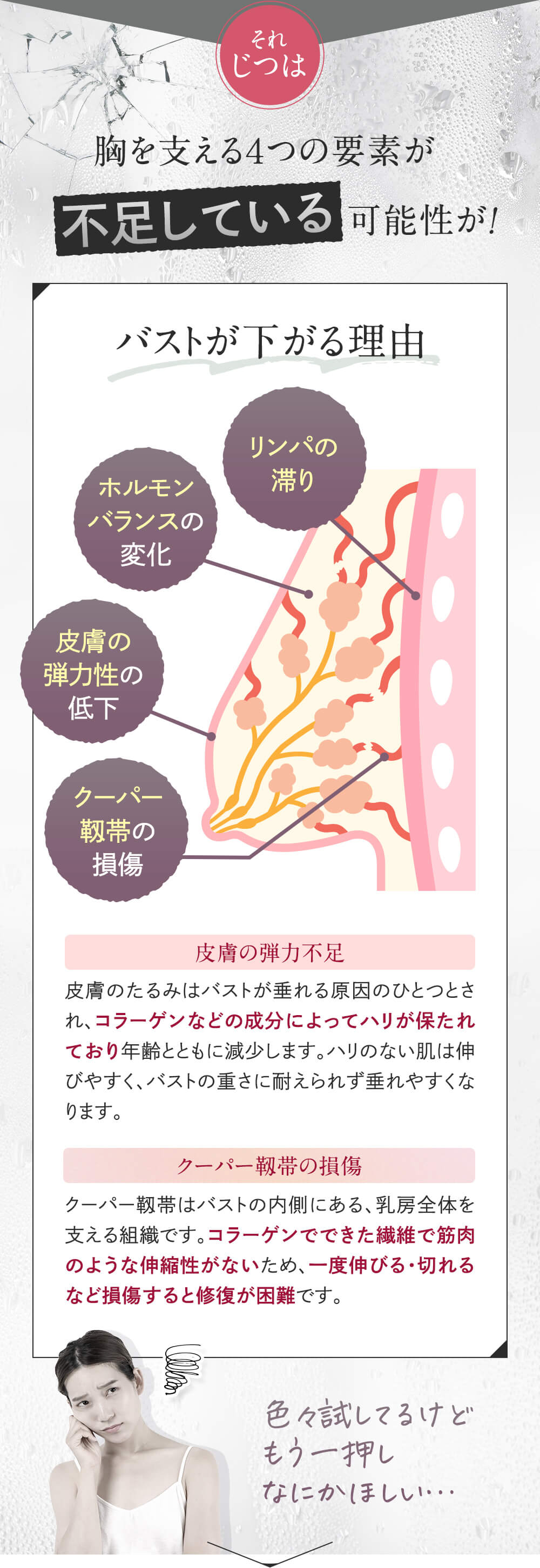 胸を支える４つの要素が不足している可能性が！